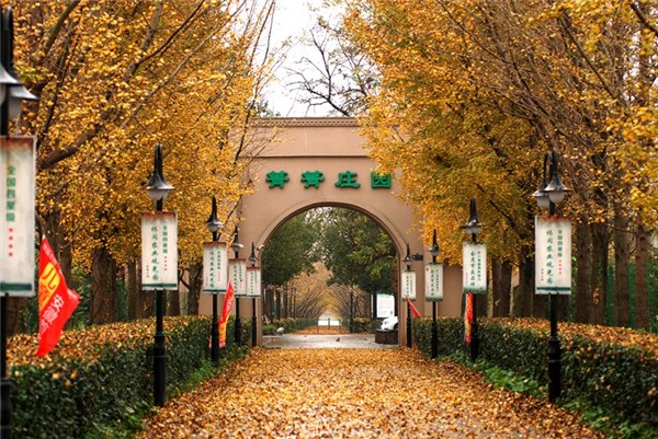 箐箐庄园